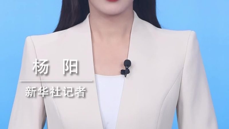 襄阳市科技有限责任公司